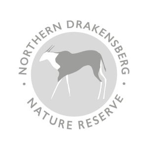 Northern Drakensberg Nature Reserve