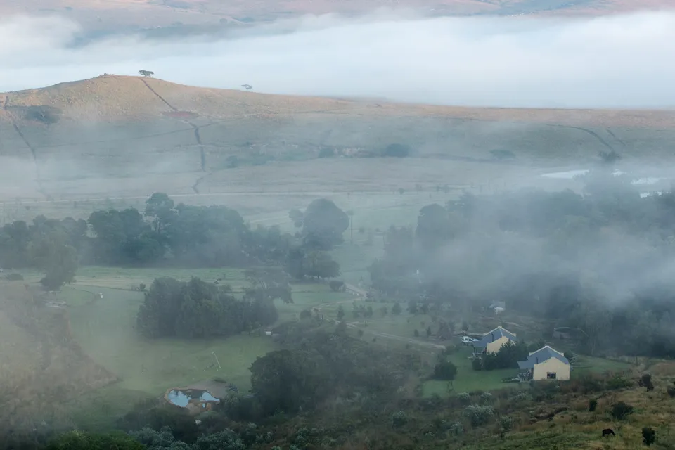 Open mountain grasslands and natural landscape at Berghouse and Cottages