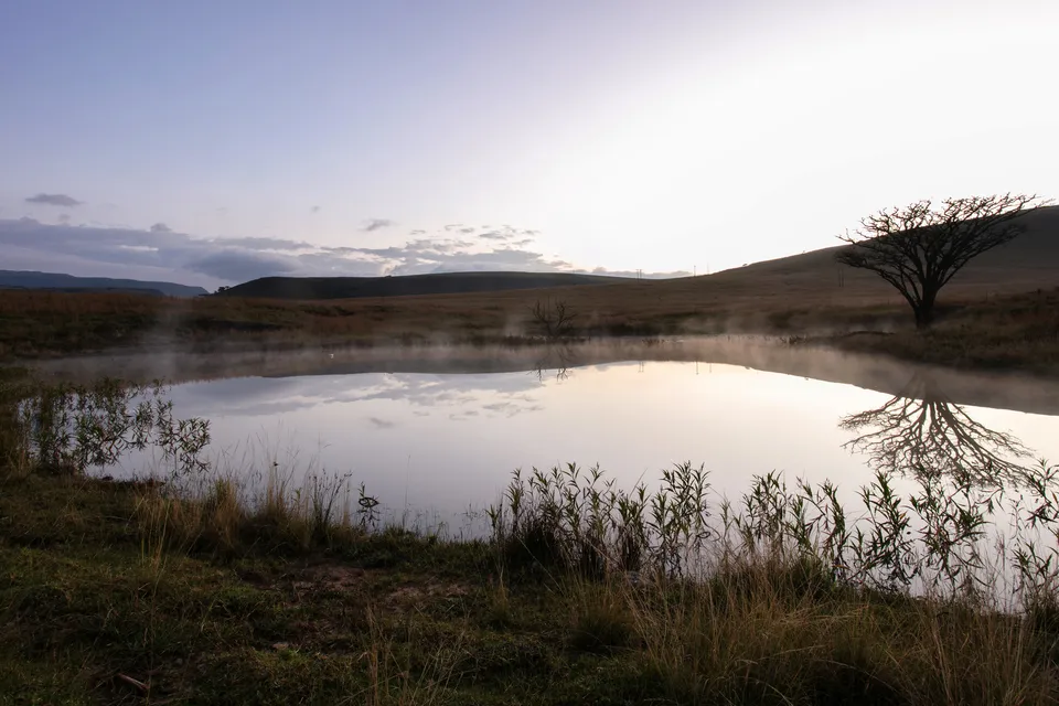 Berghouse Springs 1