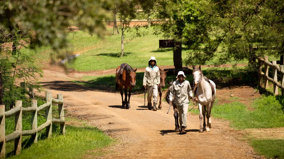 Our guides with the Basuto crossbred ponies