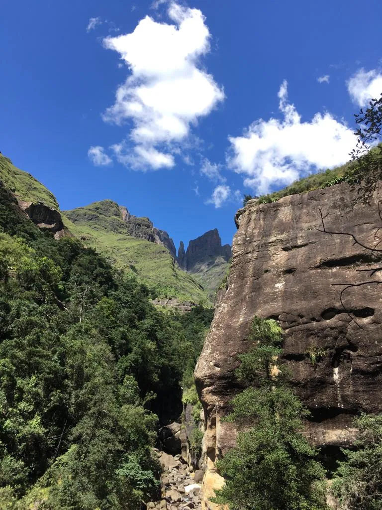 Drakensberg Gorge 1