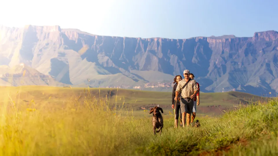 Northern Drakensberg mountain view near Berghouse and Cottages