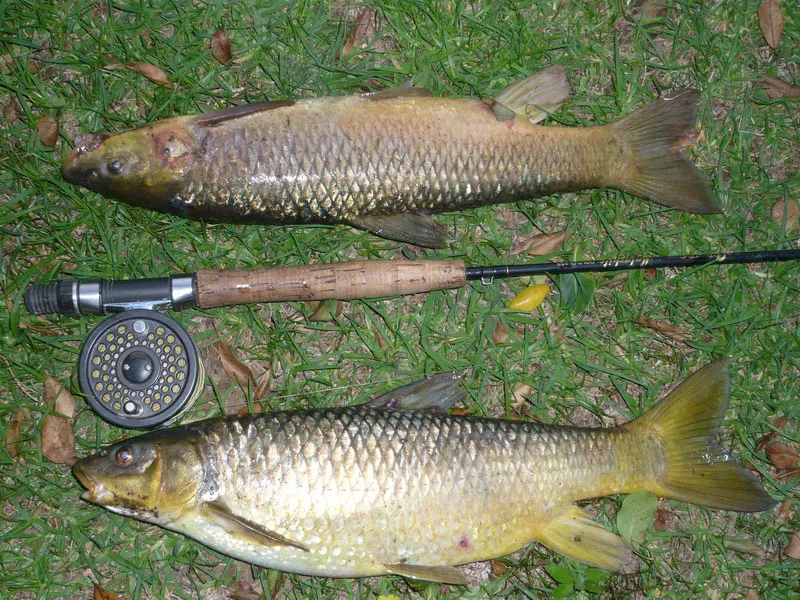 Fishing 1