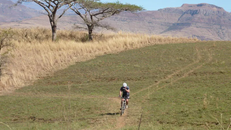 Biking 3