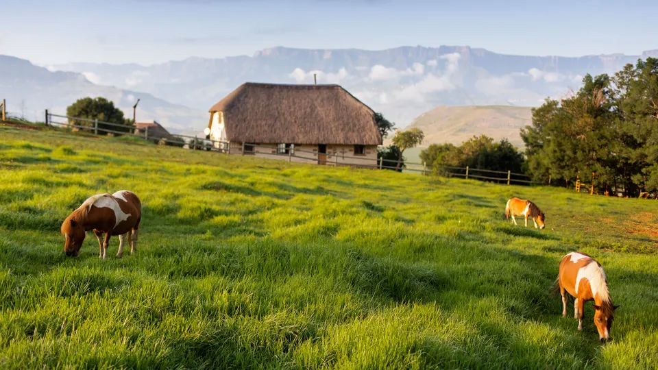 Horse-Riding-Drakensberg-1