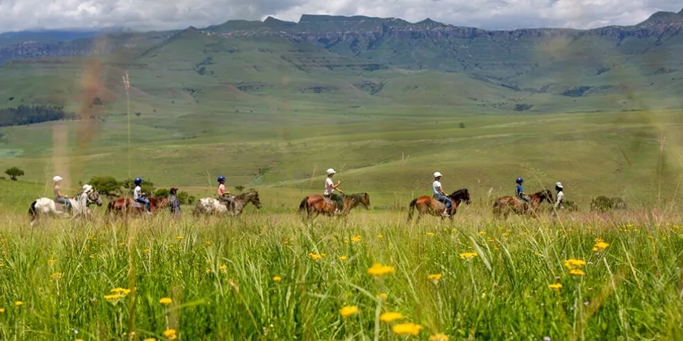 Experience The Magnificent Eland Trail